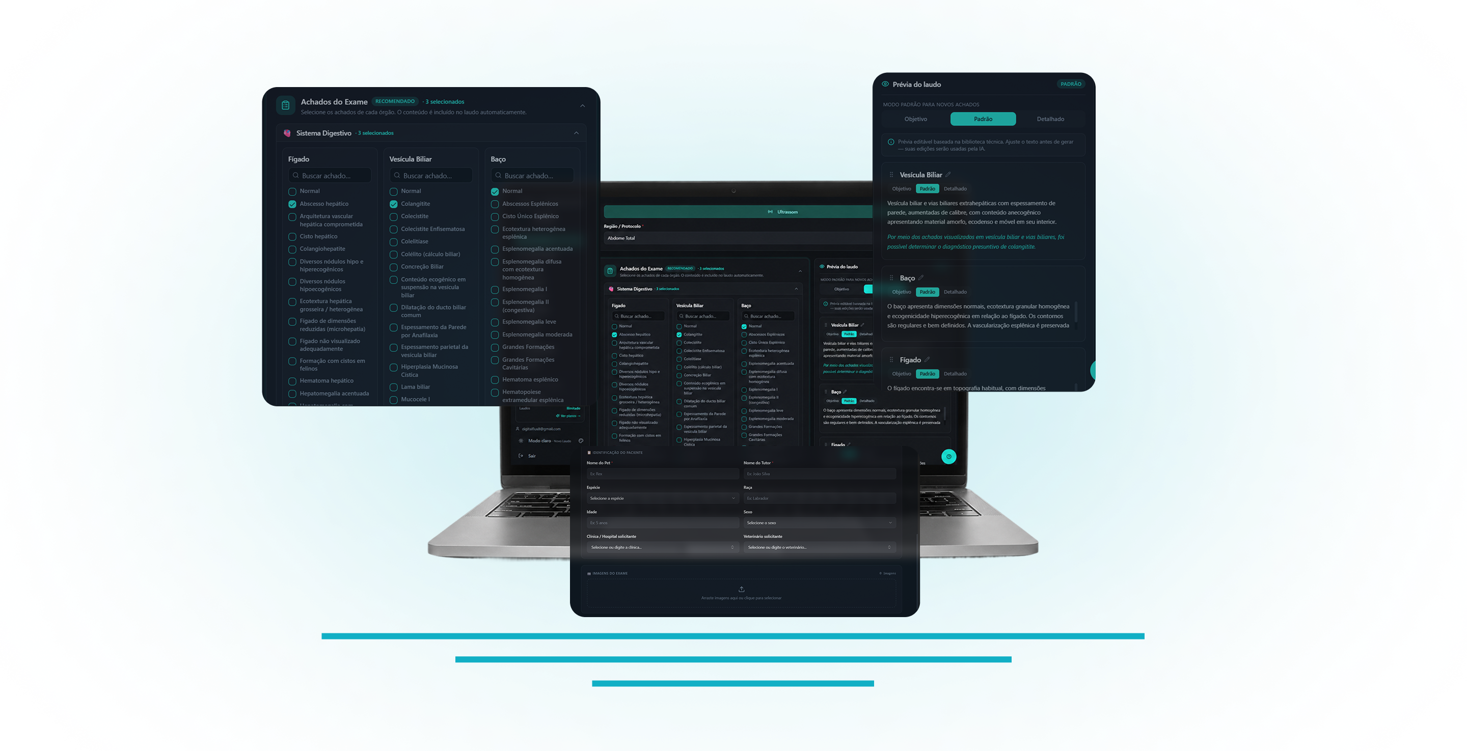 VetLaudos em uso: checklist de achados estruturado, prévia do laudo e identificação do paciente em telas de notebook